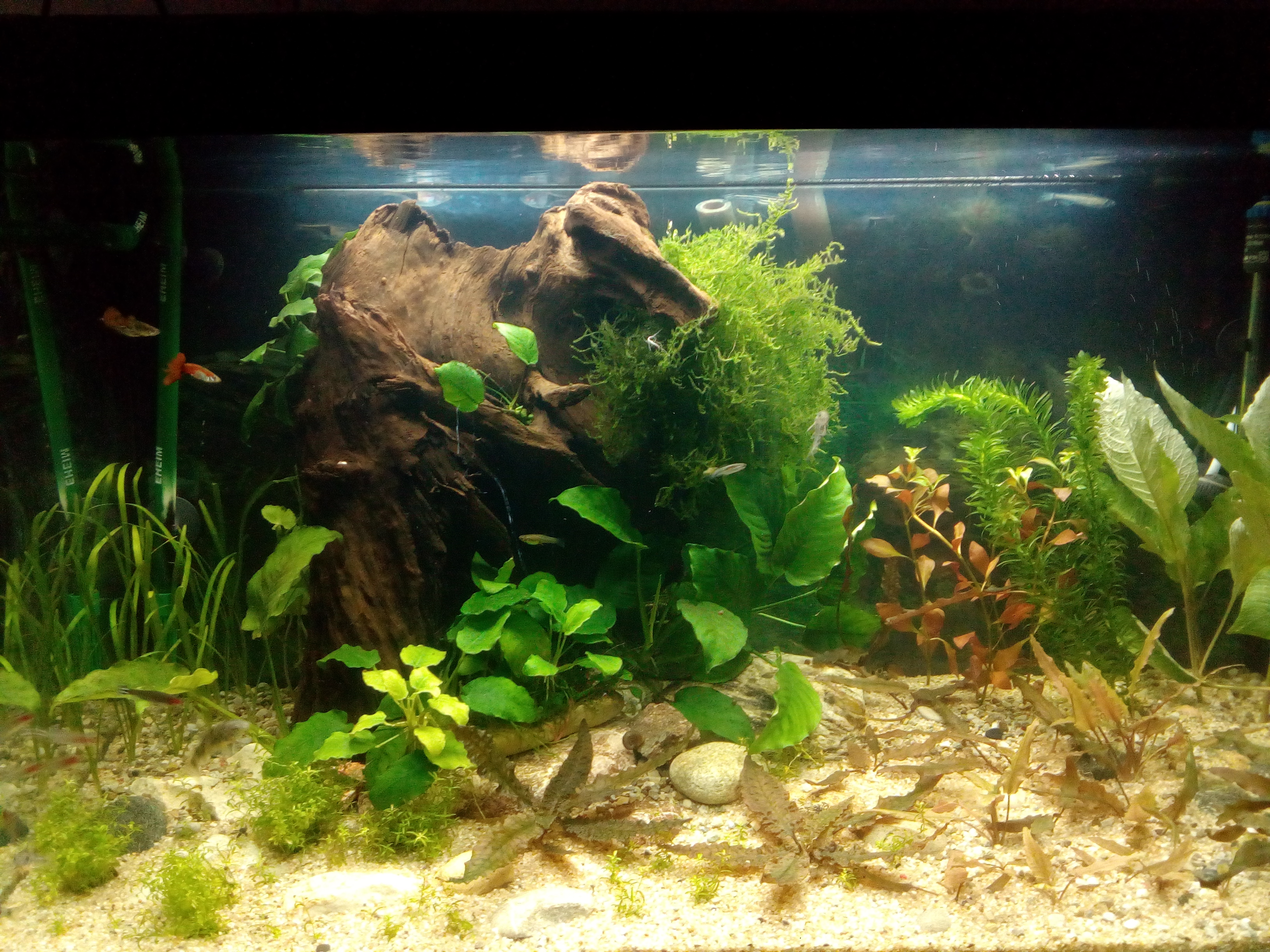 Aquarium